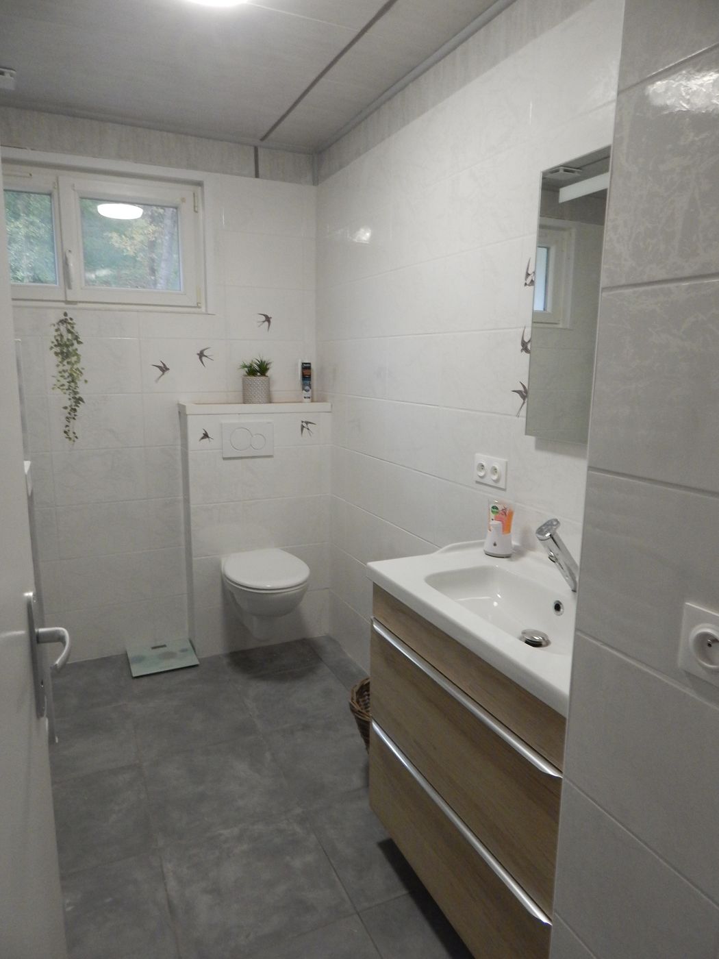 Maison Partagée Seniors | 450 EUR/mois | Saint-Dizier | Haute-Marne | France