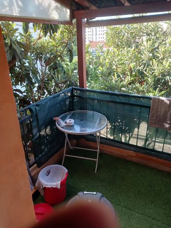 Colocation Habitat Partagé Seniors | 700EUR/mois | Marseille | Tous Ardts  Bouches-du-Rhône France